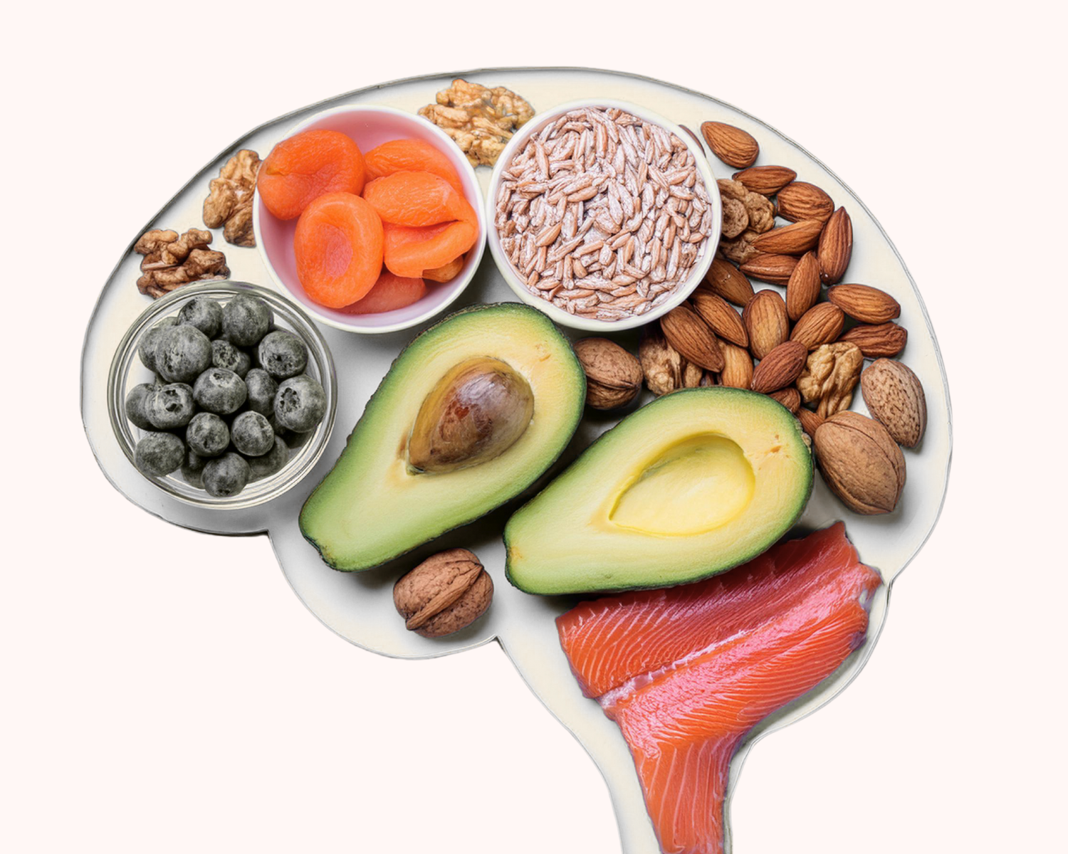 nutrition du cerveau